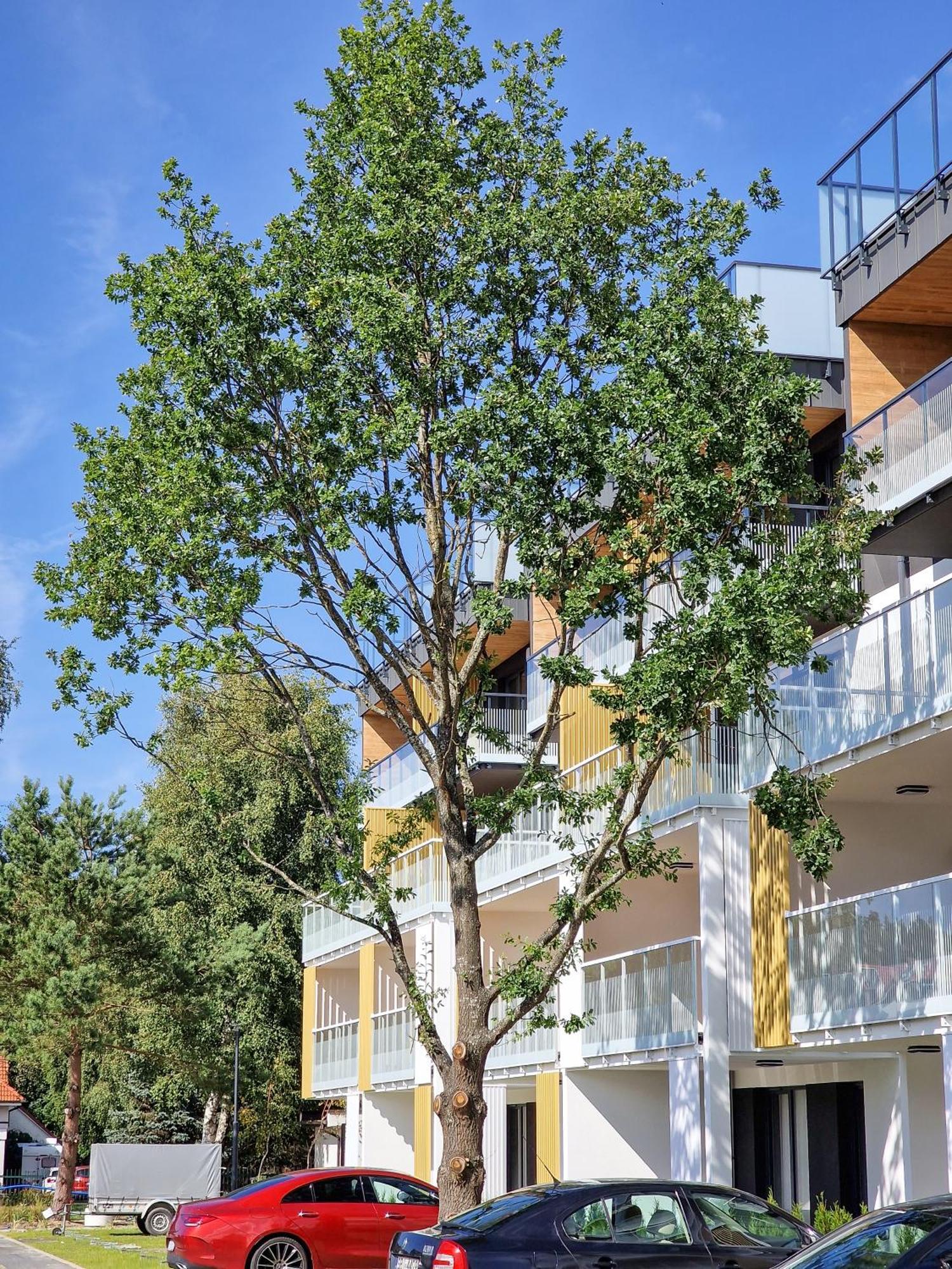 Posesja Plazowa Penthouse & By Posesja Apartment *
